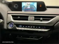 Usado Lexus UX Sport Line 184 CV (135 kW) 2019 Otro SUV