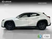 Usado Lexus UX 300h 199 CV (146 kW) 2025 Blanco SUV