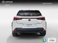 Usado Lexus UX 250h Business Edition 185 CV (136 kW) 2022 Blanco SUV