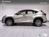 usado Lexus NX300 300h Executive 4WD + Navibox