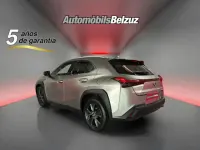 Usado Lexus UX Business Edition 184 CV (135 kW) 2022 Gris SUV