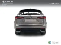 Usado Lexus NX300h Executive Line 197 CV (144 kW) 2018 Gris / plata SUV