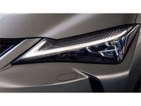 usado Lexus UX 250h Business 2wd