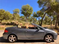 Usado Peugeot 307 CC 110 CV (80 kW) 2005 Gris / plata Descapotable