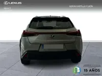 Usado Lexus UX 250h Business Edition 184 CV (135 kW) 2022 Gris SUV