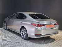 usado Lexus ES300 300h Business