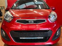 usado Kia Picanto 1.0 Basic