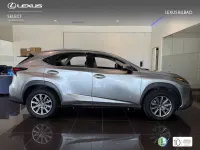 Usado Lexus NX300h Business Edition 197 CV (144 kW) 2019 Plateado SUV