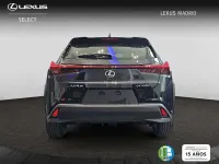 Nuevo Lexus UX 300h 199 CV (146 kW) 2026 Negro SUV