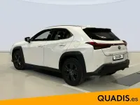 Usado Lexus UX 250h Sport Line 184 CV (135 kW) 2023 Blanco SUV