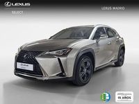 Usado Lexus UX Business Edition 184 CV (135 kW) 2022 Gris SUV