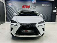 usado Lexus NX300 300h Business 2WD