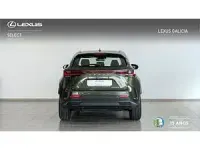 Usado Lexus NX350h Business Edition 244 CV (179 kW) 2022 Verde