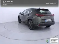 Usado Lexus UX 199 CV (146 kW) 2025 Verde SUV