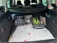 Usado VW Sharan 140 CV (102 kW) 2014 Azul Monovolumen