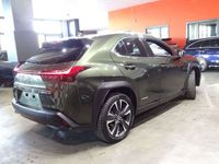 usado Lexus UX 250h 2.0 Business