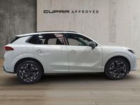 Usado Cupra Terramar 150 CV (110 kW) 2025 Blanco SUV