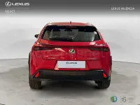Usado Lexus UX Business Edition 184 CV (135 kW) 2022 Rojo SUV