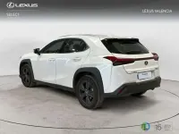 Usado Lexus UX 300h 2026 Blanco SUV