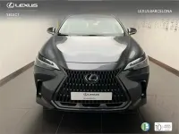 Usado Lexus NX350h Business Edition 244 CV (179 kW) 2022 Gris SUV
