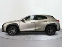 Usado Lexus UX 250h Executive Line 184 CV (135 kW) 2019 SUV