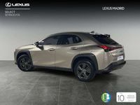 usado Lexus UX 250h Business Navigation 2WD