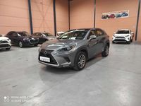 Usado Lexus NX300h 197 CV (144 kW) 2021 Gris SUV