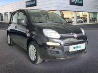 Nuevo Fiat Panda Icon 71 CV (52 kW) 2025 Negro Utilitario