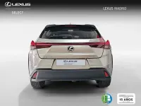 Usado Lexus UX Luxury Line 184 CV (135 kW) 2021 Plateado SUV
