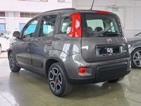 usado Fiat Panda 1.0 Hybrid GSE City Life 51 kW (70 CV)