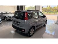 Usado Fiat Panda Lounge 69 CV (50 kW) 2019 Gris / plata Utilitario