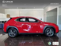 Usado Lexus UX 199 CV (146 kW) 2025 Rojo SUV