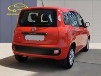Usado Fiat Panda Lounge 69 HP (50 kW) 2020 Vermelho Citadino