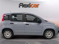 Usado Fiat Panda 71 CV (52 kW) 2022 Gris Berlina