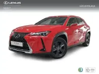 Usado Lexus UX Business Edition 184 CV (135 kW) 2022 Rojo SUV