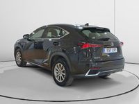 Usado Lexus NX300h Business Edition 197 CV (144 kW) 2018 SUV