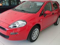 Usado Fiat Punto Pop 75 CV (55 kW) 2015 Rojo Utilitario