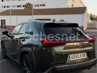 Usado Lexus UX Business Edition 184 CV (135 kW) 2019 Verde SUV