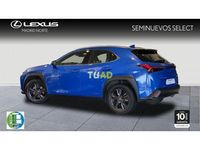 usado Lexus UX 2.0 250h Business