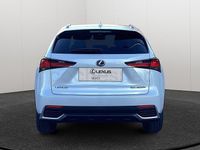 Usado Lexus NX300h Business Edition 197 CV (144 kW) 2019 Blanco SUV