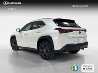 Usado Lexus UX 300h 200 CV (147 kW) 2025 Blanco SUV