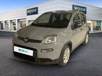 Usado Fiat Panda Comfort 70 CV (51 kW) 2023 Gris Utilitario