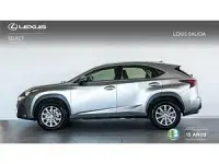 Usado Lexus NX300h 197 CV (144 kW) 2016 Otros SUV