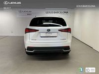 usado Lexus NX300 300h Business 2WD