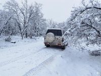 Usado Opel Monterey 114 HP (83 kW) 1995 Cinzento SUV