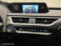 Usado Lexus UX Business Edition 184 CV (135 kW) 2022 Gris / plata SUV