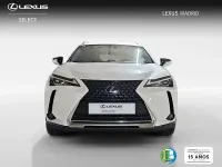 Usado Lexus UX Business Edition 184 CV (135 kW) 2020 Blanco SUV