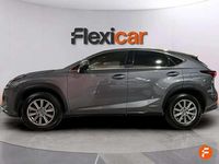 Usado Lexus NX300h Business Edition 197 CV (144 kW) 2019 Gris SUV