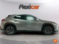 Usado Lexus UX Business Edition 184 CV (135 kW) 2020 Beige SUV
