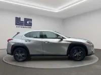 Usado Lexus UX 250h Business Edition 184 CV (135 kW) 2019 Gris SUV